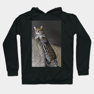 Ocelot Hoodie